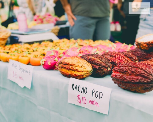 1f39609c-fdda-43bd-85cc-06c7cf7f0ca8-4309-0000041bac0a4520