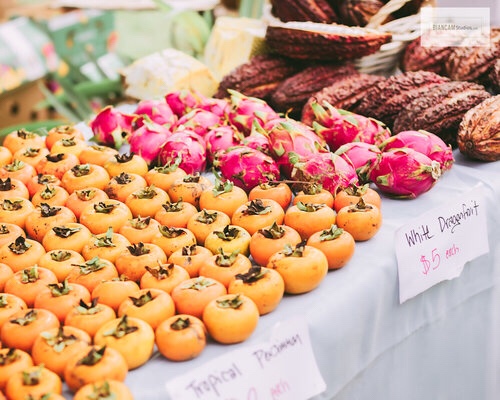 3d07f390-db65-4b98-a933-c6ace4b55e9c-4309-0000041bb34fa0dd